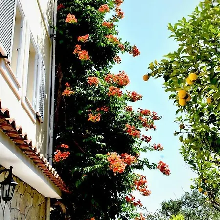 Dionysios Apartamento *